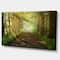 Designart - Suns Peeks into Forest - Landscape Photography Canvas Print